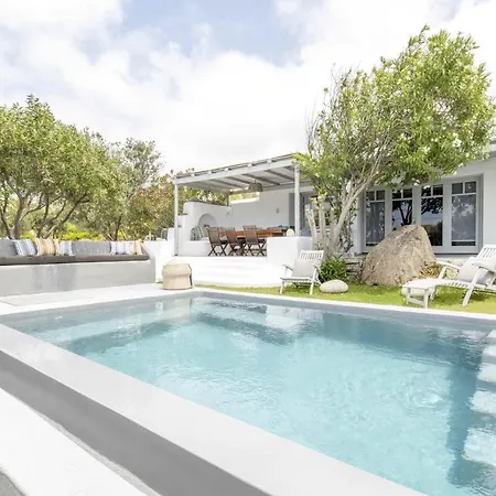Valente In Mykonos With Two Pools! بلاتيس يالوس